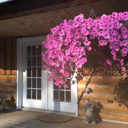 Denali Fireside Cabin & Suites Talkeetna Extérieur photo