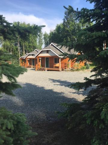 Denali Fireside Cabin & Suites Talkeetna Extérieur photo